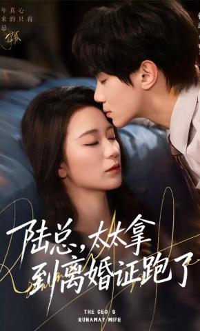 短剧《陆总，太太拿到离婚证跑了》海报