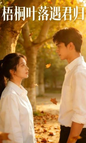短剧梧桐叶落遇君归海报