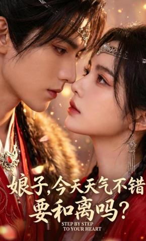 短剧《娘子，今天天气不错，要和离吗？》海报