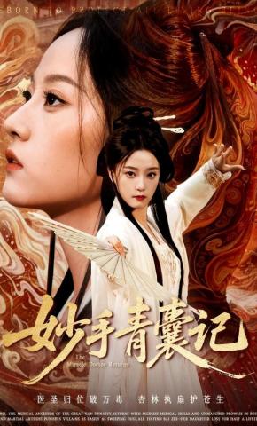 短剧《妙手青囊记》海报