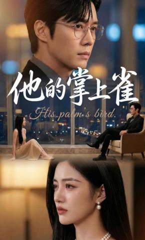 短剧《他的掌上雀》海报