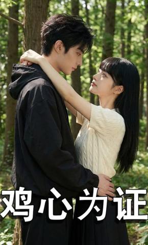 短剧《鸡心为证》海报