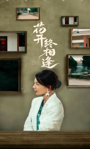 短剧《花开终相逢》海报