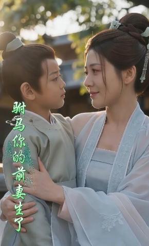 短剧《驸马你的前妻生了》海报