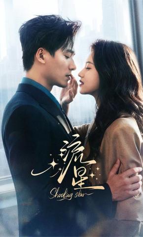 短剧《流星》海报