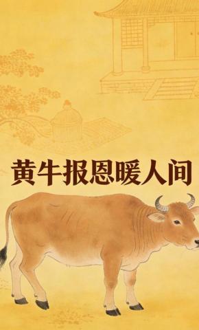 短剧《黄牛报恩暖人间》海报