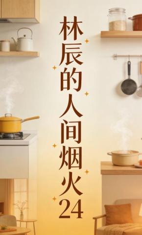 短剧《林辰的人间烟火24》海报