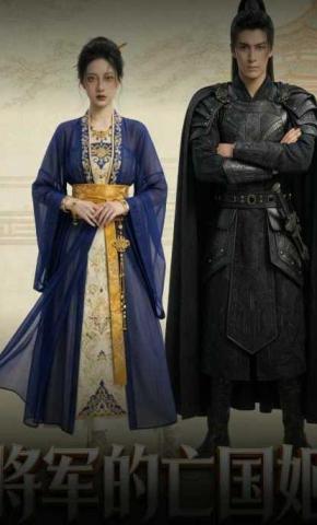 短剧《将军的亡国姬》海报