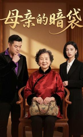 短剧《母亲的暗袋》海报