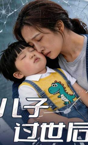 短剧《儿子过世后》海报