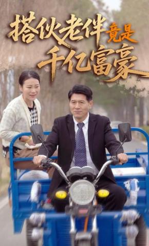短剧《搭伙老伴竟是千亿富豪》海报