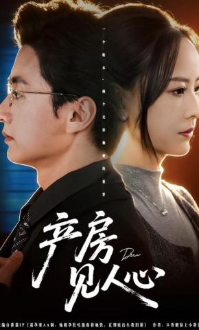 短剧《产房见人心》海报