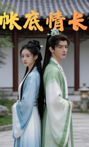 短剧《帐底情长》海报