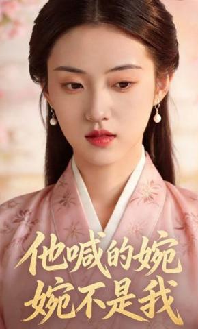 短剧《他喊的婉婉不是我》海报