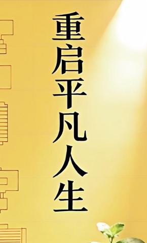 短剧《重启平凡人生11》海报