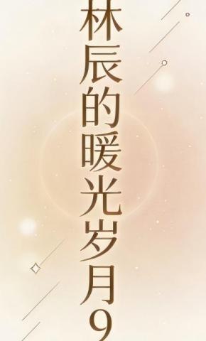 短剧《林辰的暖光岁月9》海报