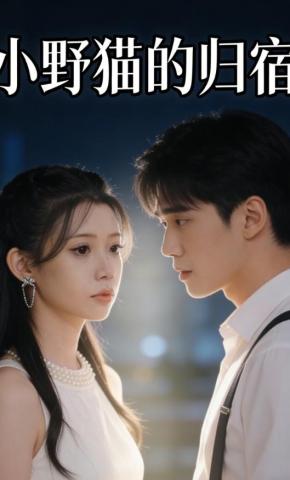短剧《小野猫的归宿》海报