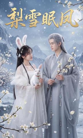 短剧《梨雪眠凤》海报