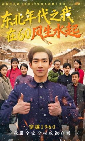 短剧《东北年代之我在60风生水起》海报