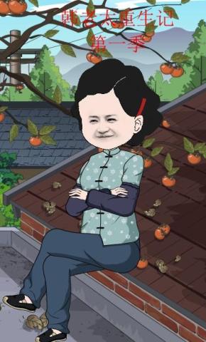 短剧《韩老太重生记》海报