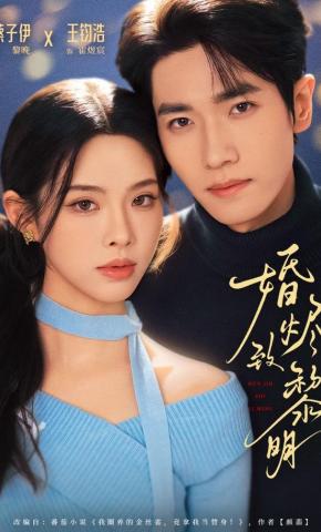 短剧《婚烬致黎明》海报