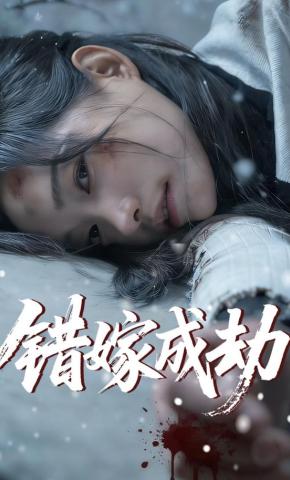 短剧《错嫁成劫》海报