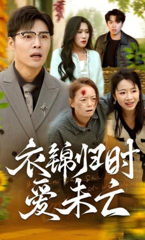 短剧《衣锦归时爱未亡》海报