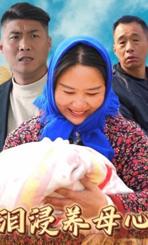 短剧《泪浸养母心》海报