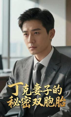 短剧《丁克妻子的秘密双胞胎》海报