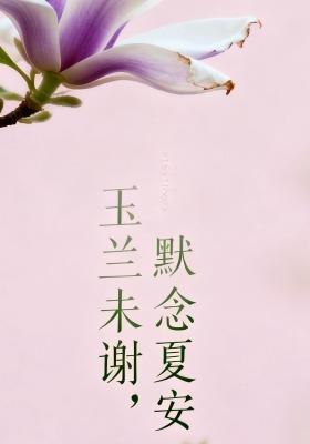短剧《玉兰未谢，默念夏安》海报