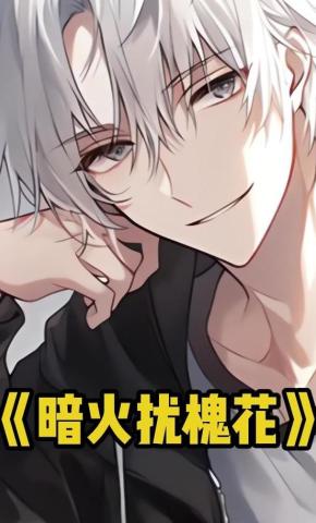 短剧《暗火扰槐花》海报