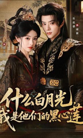 短剧《什么白月光，我是他们的黑心莲》海报