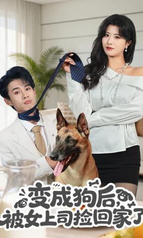 短剧《变成狗后，被女上司捡回家了》海报