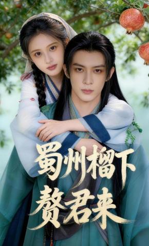 短剧《蜀州榴下赘君来》海报