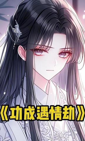 短剧《功成遇情劫》海报