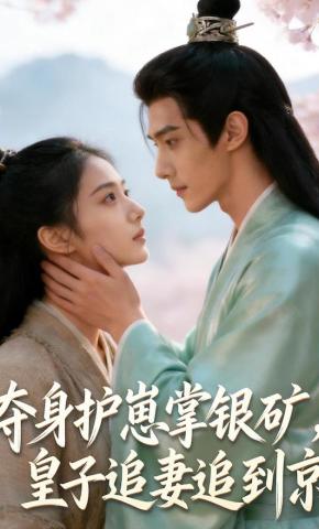 短剧《夺身护崽掌银矿，皇子追妻追到京》海报