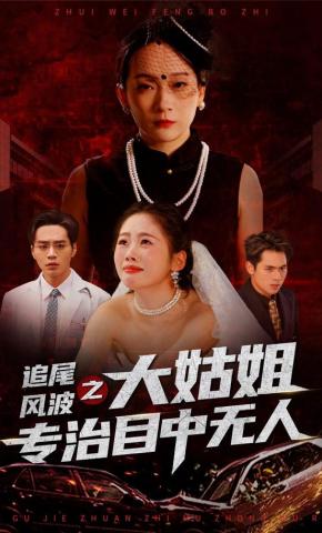 短剧《追尾风波之大姑姐专治目中无人》海报