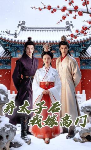 短剧《弃太子后我嫁高门》海报