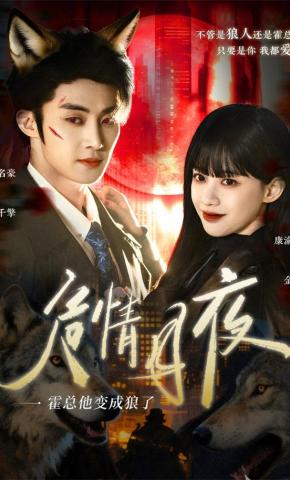 短剧《危情月夜：霍总他变成狼了》海报