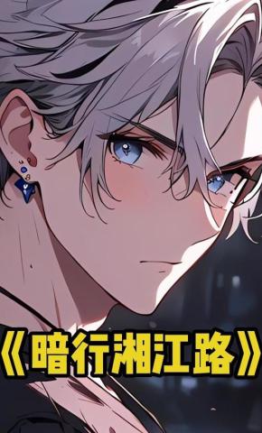 短剧《暗行湘江路》海报