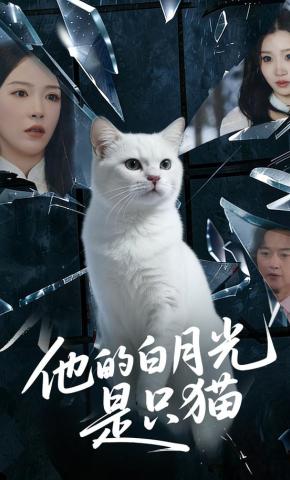 短剧《他的白月光是只猫》海报