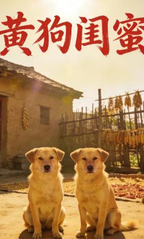 短剧《黄狗闺蜜》海报