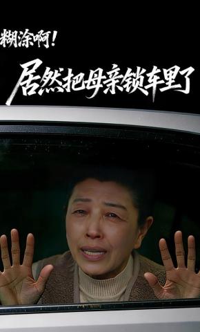 短剧《糊涂啊！居然把母亲锁车里了》海报