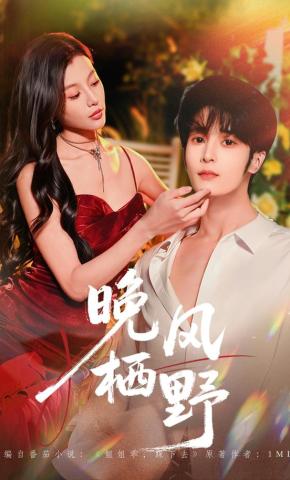短剧《晚风栖野》海报