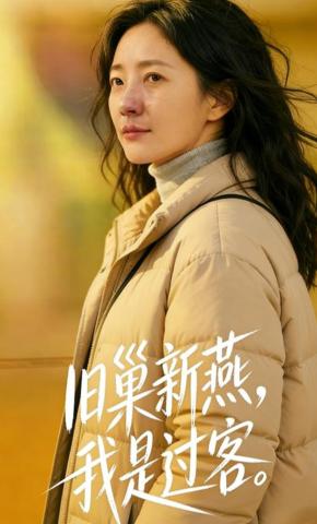 短剧《旧巢新燕，我是过客》海报