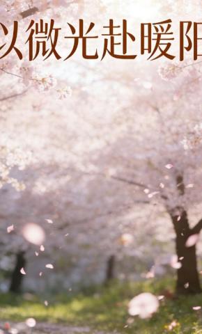 短剧《以微光赴暖阳》海报