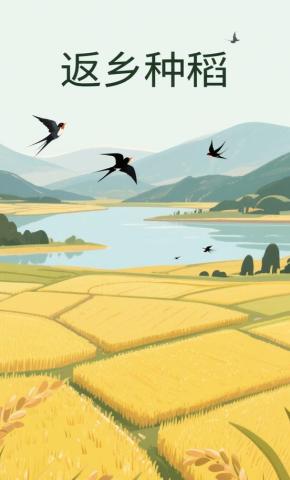 短剧《返乡种稻》海报
