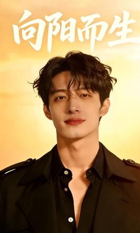 短剧《向阳而生1》海报