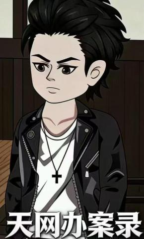 短剧《天网办案录》海报