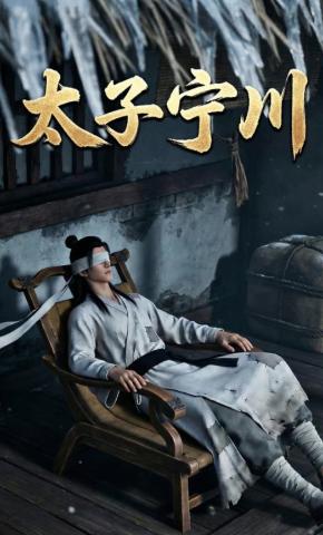 短剧《太子宁川》海报